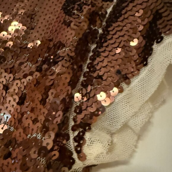 Loft Brown Sequin Front & Back - Fully Lined - Medium - Picture 5 of 9